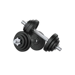 Fitness DUMBBELL 10 kg